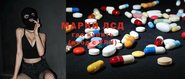 индика Балахна