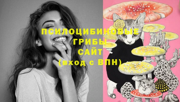 spice Балабаново
