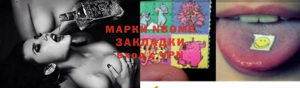 индика Балахна