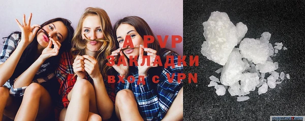индика Балахна