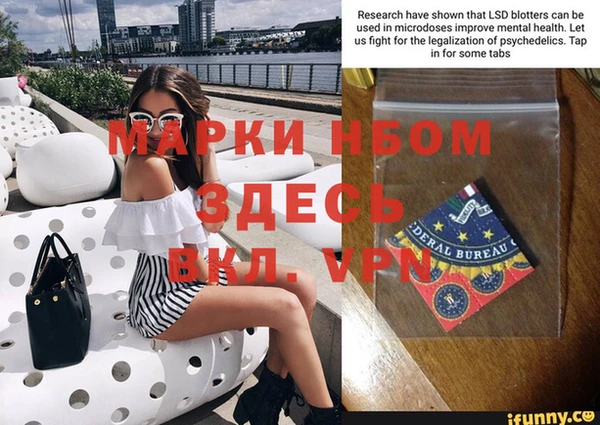 индика Балахна