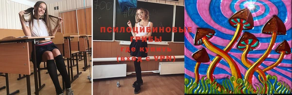 не бодяженный Белокуриха